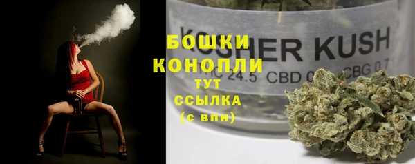 тгк Арсеньев