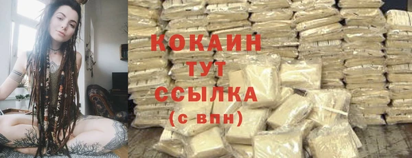 тгк Арсеньев